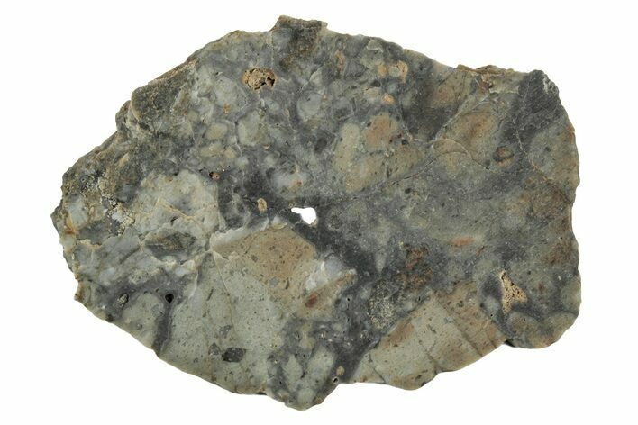 Lunar Meteorite Slice ( g) - NWA #346561